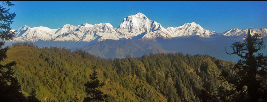 Trek Mohare Danda e Poon Hill - Navyo Nepal Discover Asia